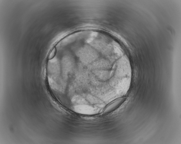 X0000110931413200907301614
