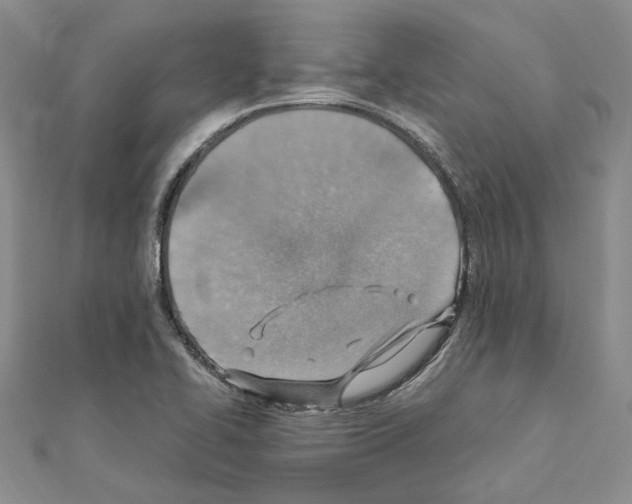 X0000110931414200907301614