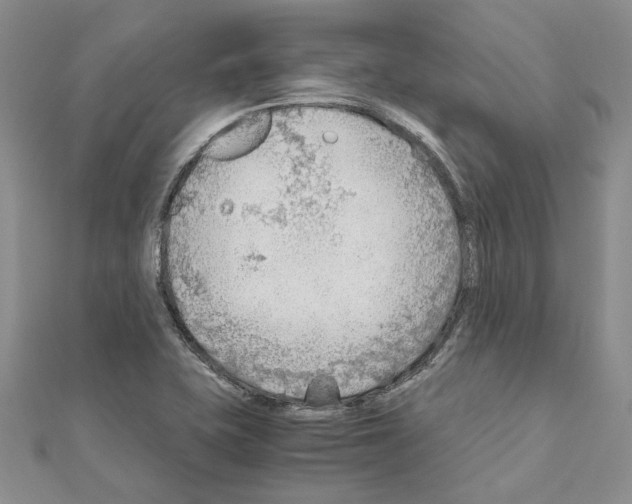 X0000110931415200907301614
