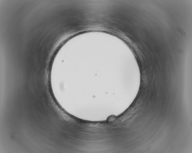X0000110931416200907301614