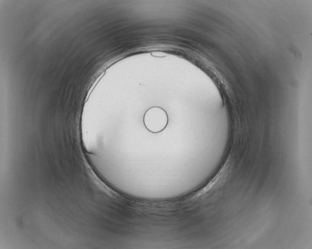 X0000110931417200907301614