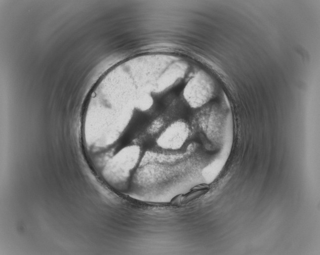 X0000110931418200907301614