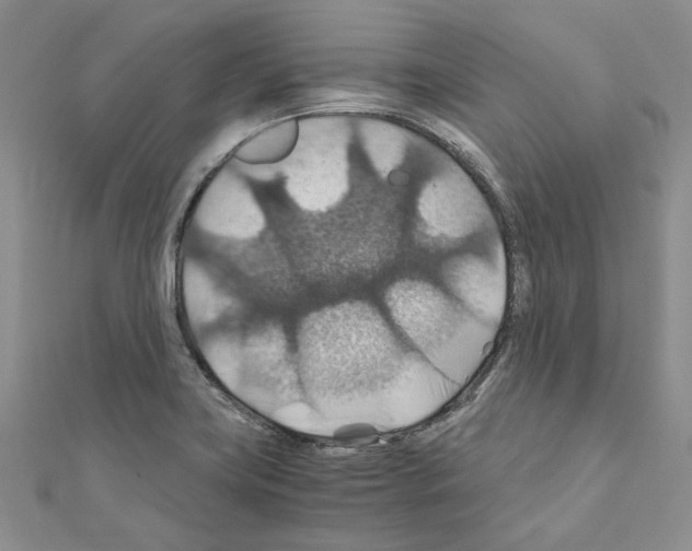X0000110931419200907301614