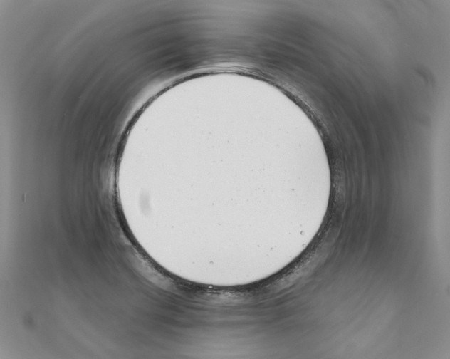 X0000110931420200907301614
