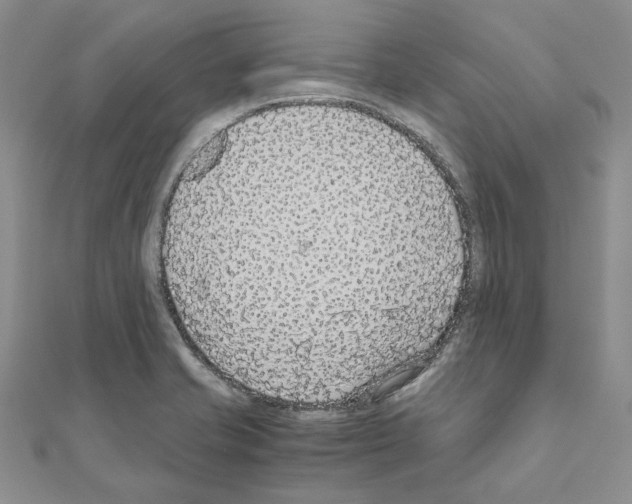 X0000110931421200907301614