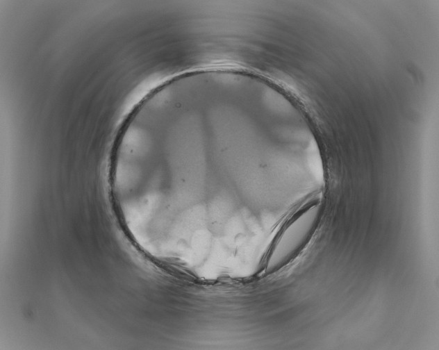 X0000110931422200907301614