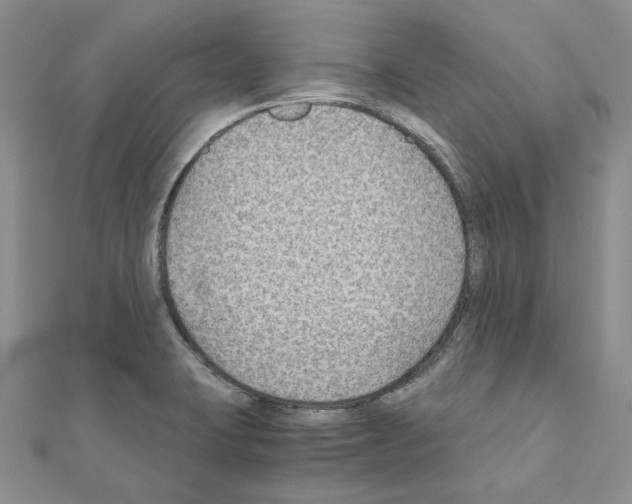 X0000110931423200907301614