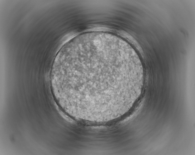 X0000110931425200907301614
