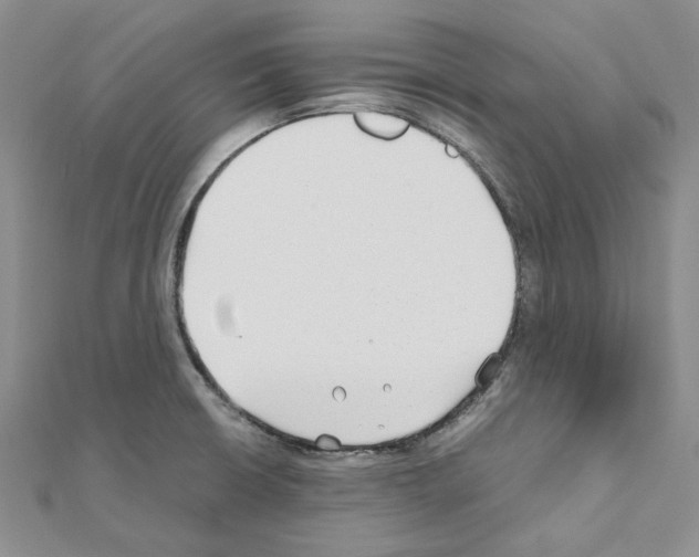 X0000110931426200907301614