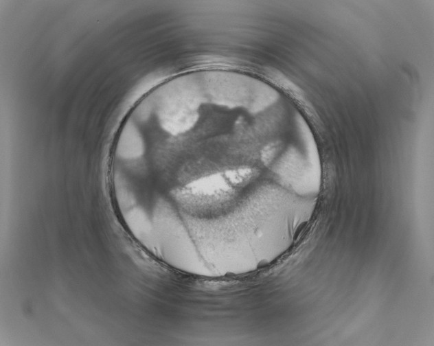 X0000110931427200907301614