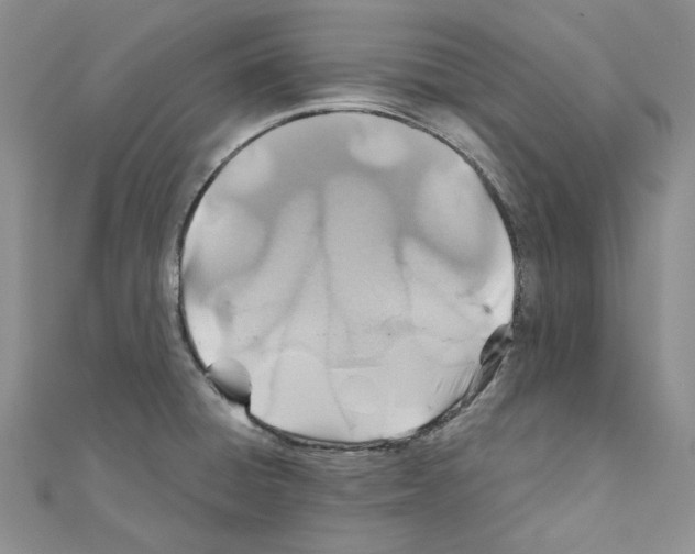 X0000110931428200907301614