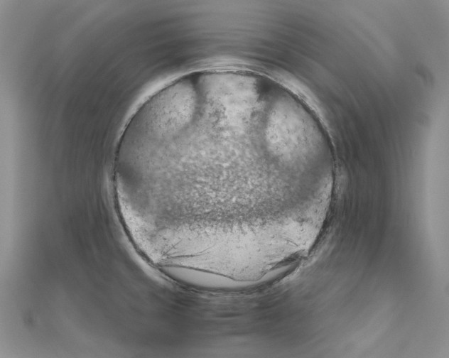 X0000110931429200907301614
