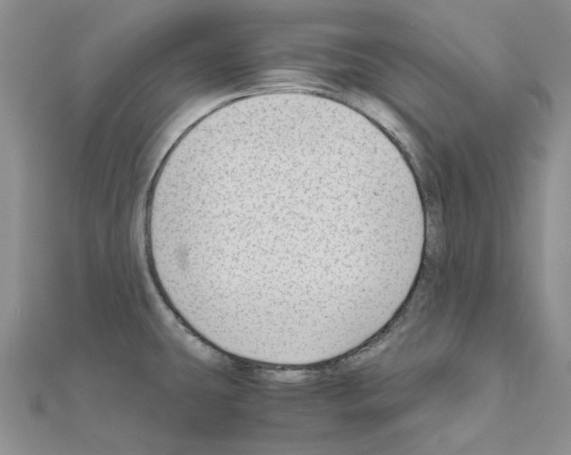 X0000110931431200907301614