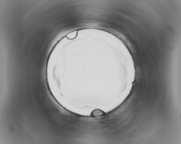 X0000110931432200907301614