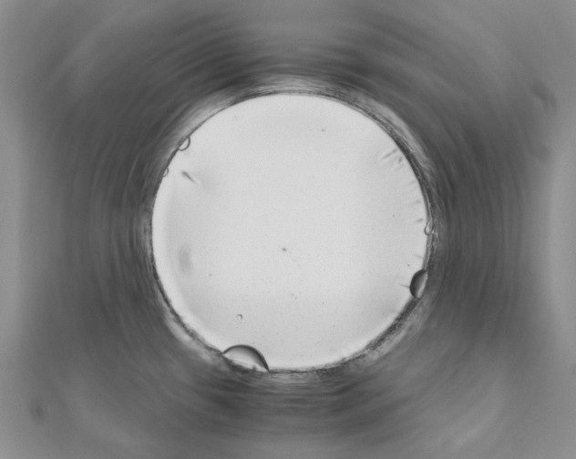 X0000110931433200907301614