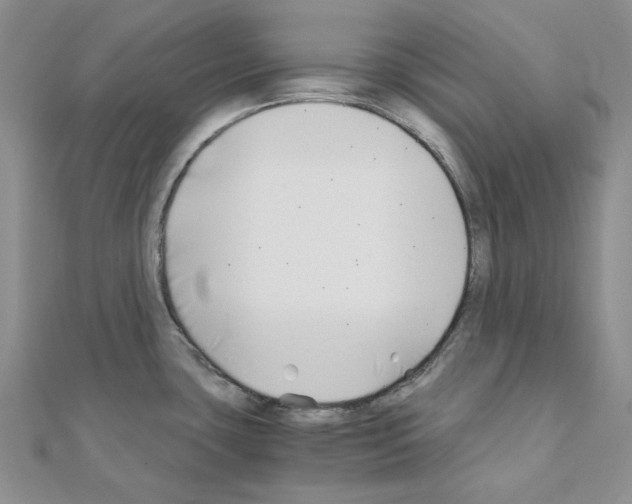 X0000110931435200907301614