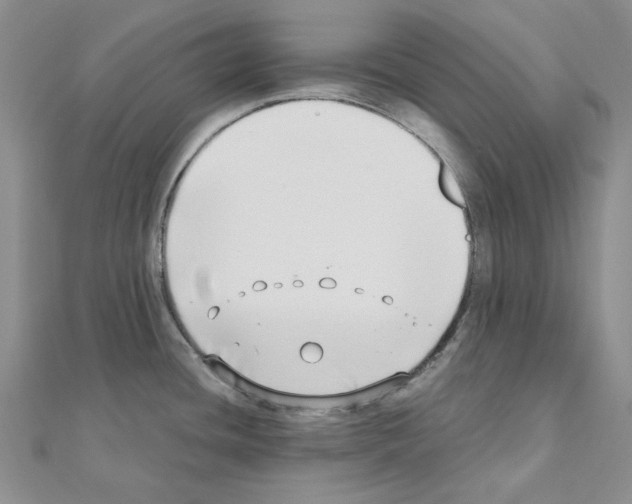 X0000110931436200907301614