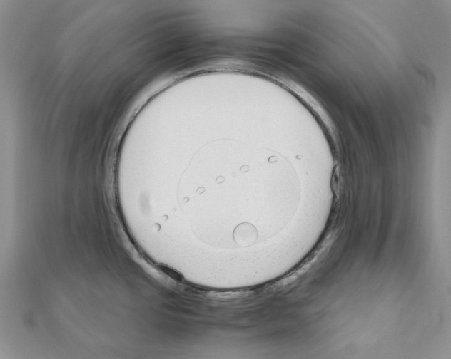 X0000110931437200907301614