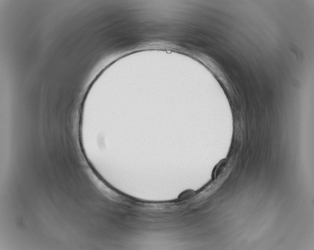 X0000110931438200907301614
