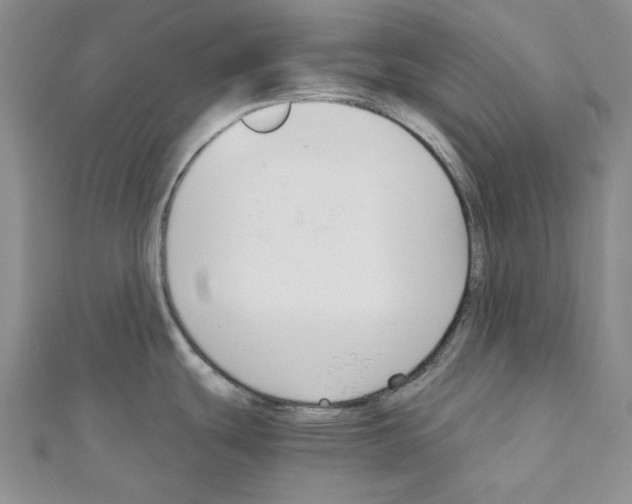 X0000110931439200907301614