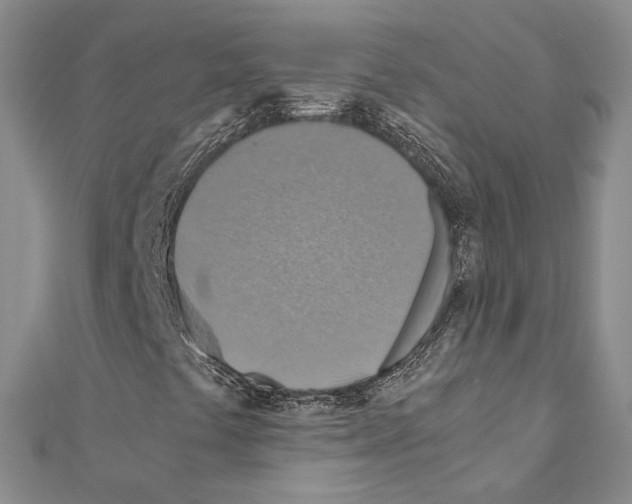 X0000110931441200907301614