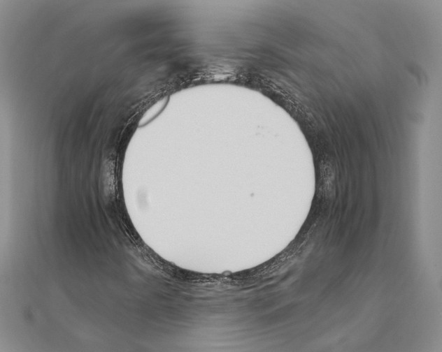 X0000110931442200907301614