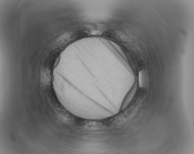 X0000110931443200907301614