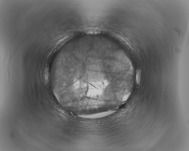 X0000110931444200907301614