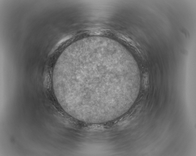 X0000110931446200907301613
