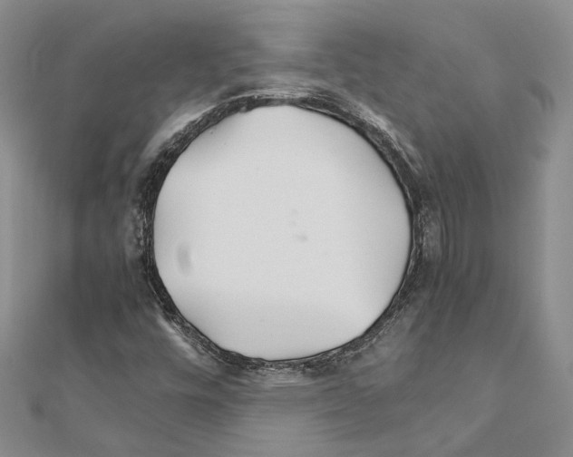 X0000110931448200907301613