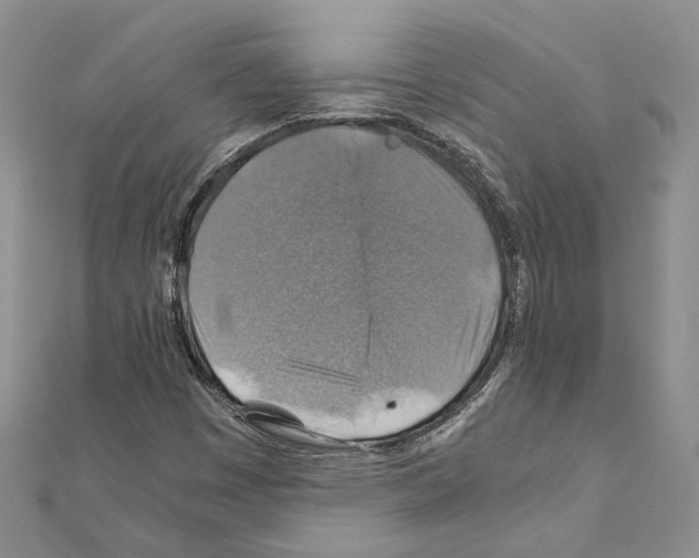 X0000110931449200907301613
