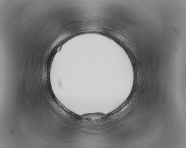 X0000110931450200907301613