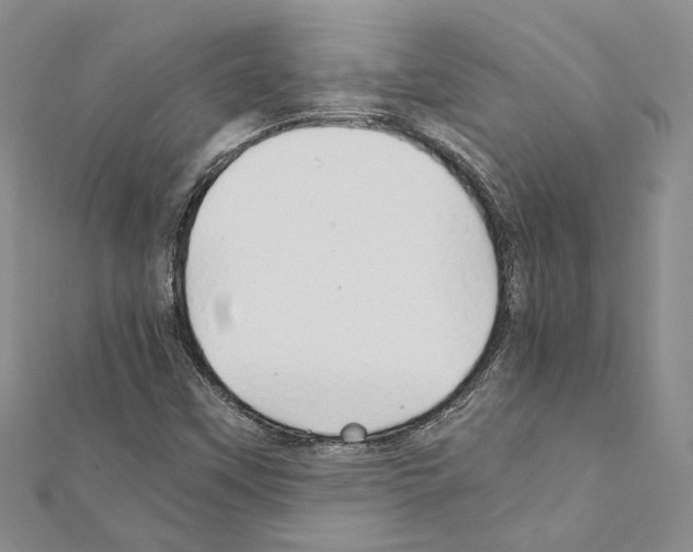X0000110931451200907301613