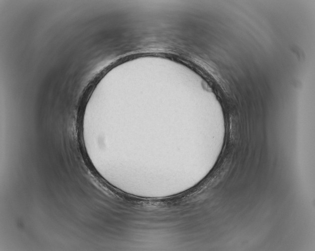X0000110931452200907301613