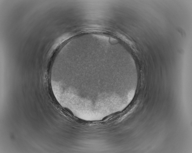 X0000110931453200907301613
