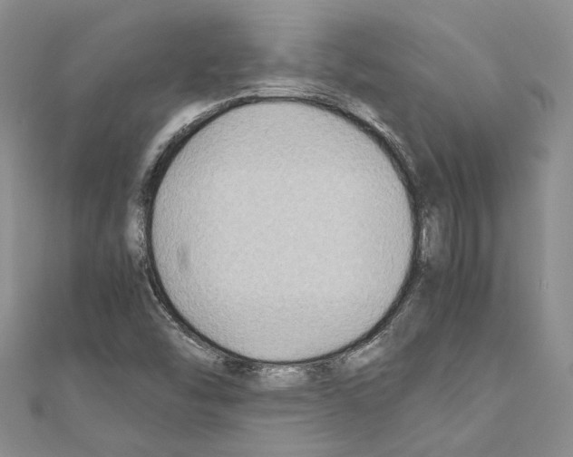 X0000110931454200907301613