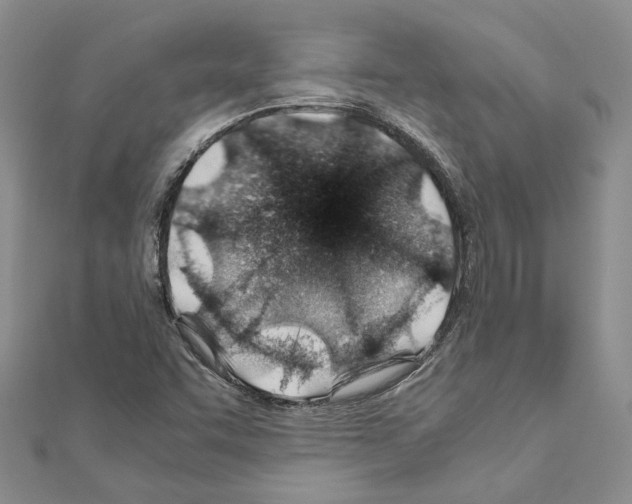 X0000110931455200907301613