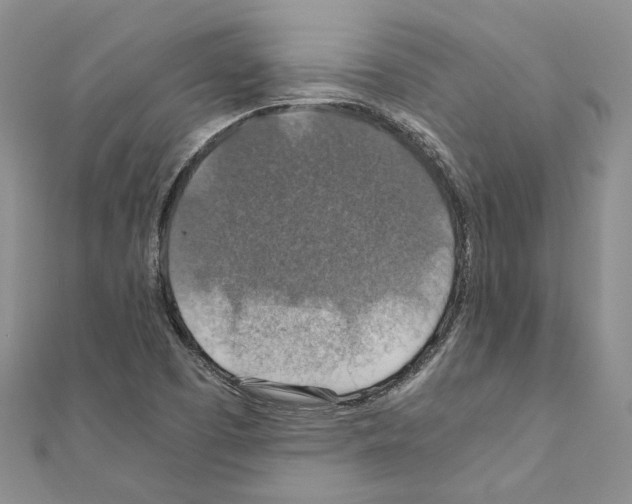 X0000110931457200907301613
