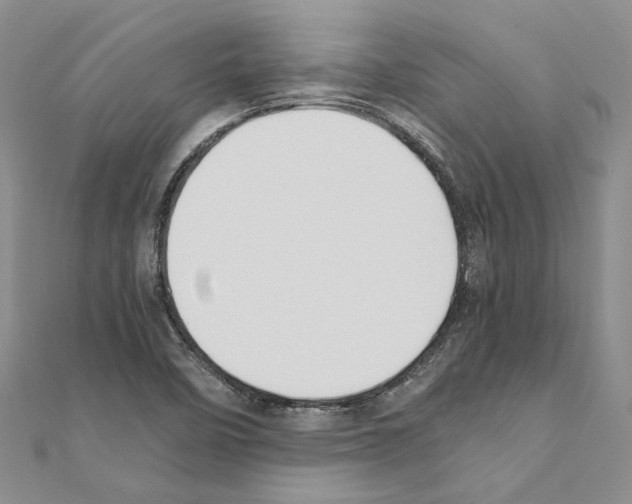 X0000110931458200907301613