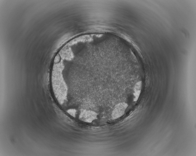 X0000110931459200907301613