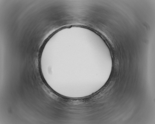 X0000110931460200907301613