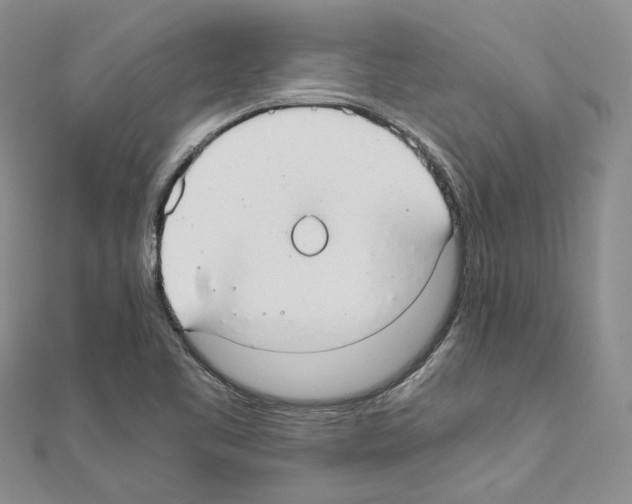X0000110931461200907301613
