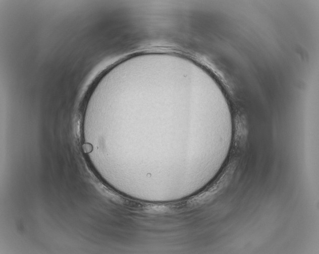 X0000110931462200907301613