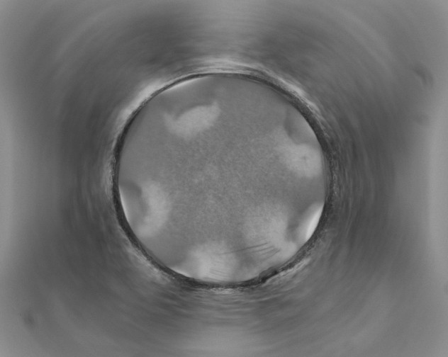 X0000110931463200907301613