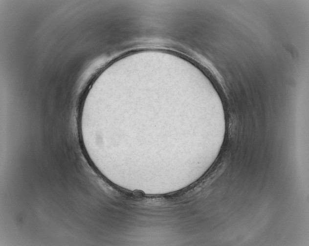 X0000110931464200907301613