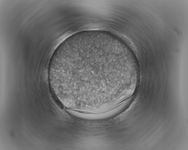X0000110931465200907301613