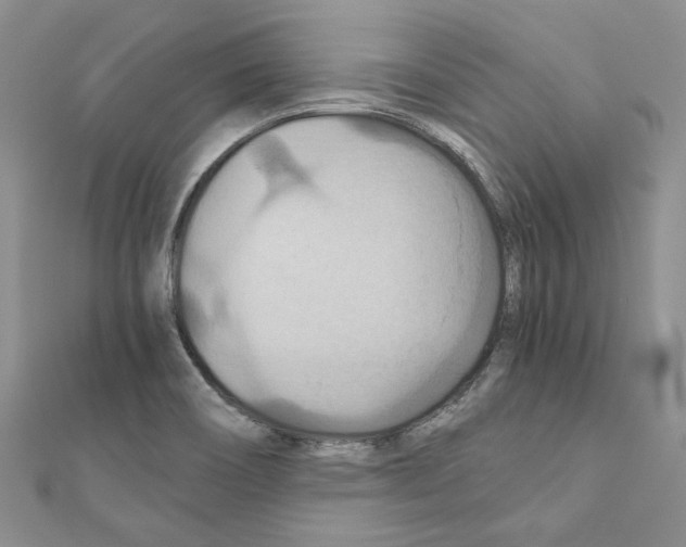 X0000110931466200907301613