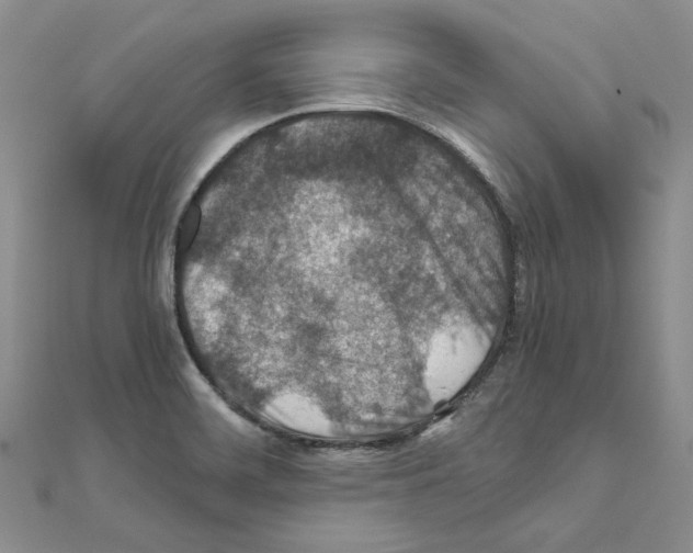 X0000110931468200907301613