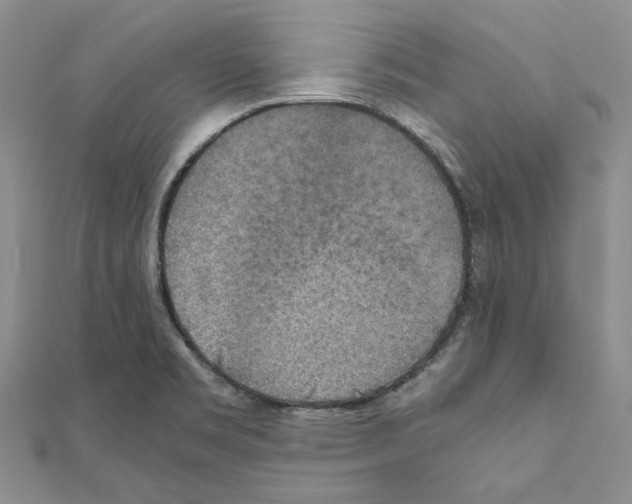 X0000110931469200907301613