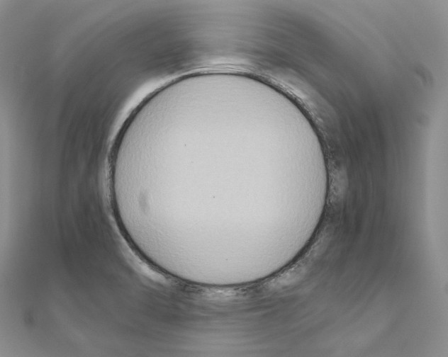X0000110931470200907301613